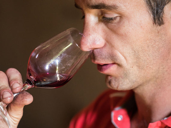 Vinhas Guillaume Guérin